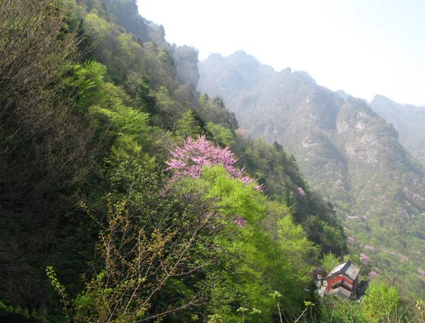 Pohled z Wudangu
